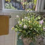 image00093